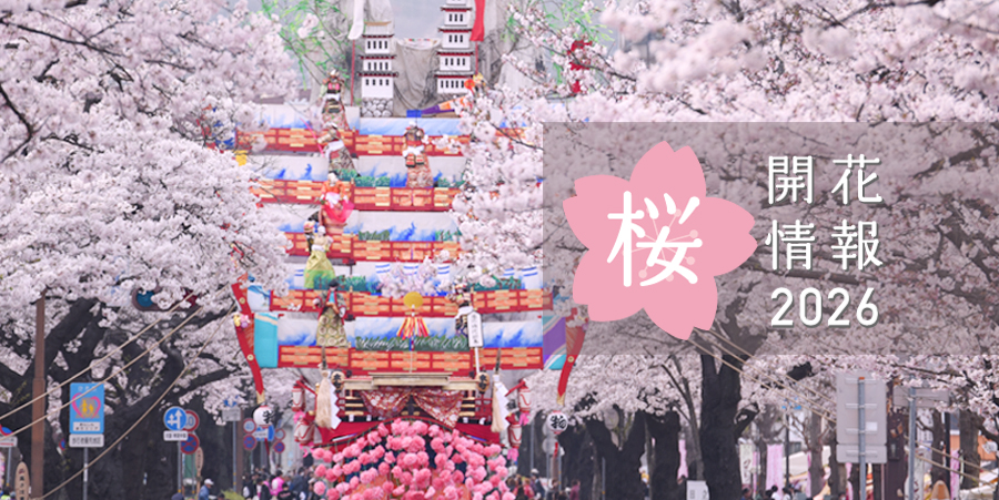 茨城のさくら開花情報 【2026】