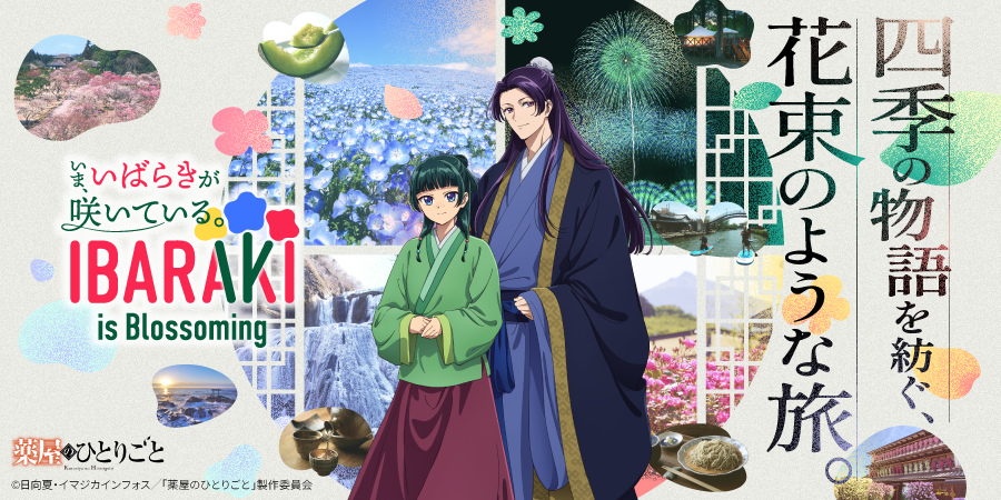 いま、いばらきが咲いている - IBARAKI is Blossoming - 薬屋のひとりごと