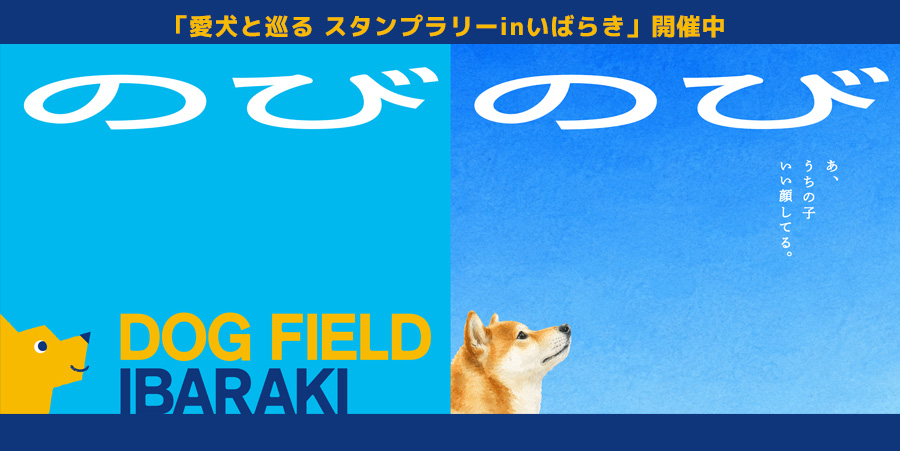 DOG FIELD IBARAKI