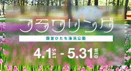 国営ひたち海浜公園を見る