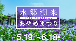 水郷潮来あやめまつりを見る
