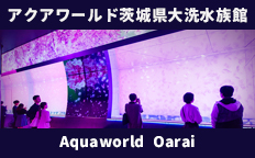 アクアワールド茨城県大洗水族館2025を見る
