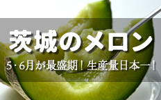 茨城のメロンを見る