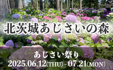 北茨城あじさいの森を見る