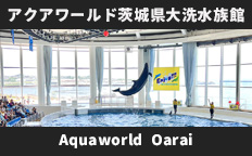 アクアワールド茨城県大洗水族館2025を見る