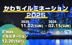 かわちイルミネーション2025を見る