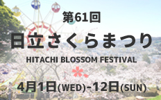日立さくらまつり【2025】を見る
