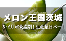 メロン王国茨城を見る