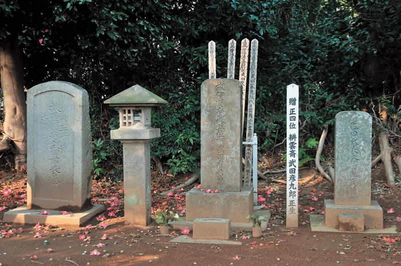 武田 耕雲斎(たけだ こううんさい)