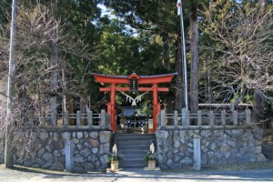 大中神社本殿、御神木