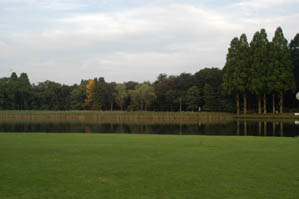 洞峰公園 洞峰沼　