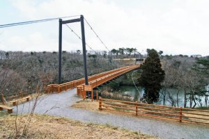 茨城県水郷県民の森