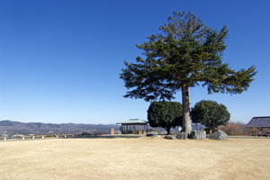 笠間つつじ公園
