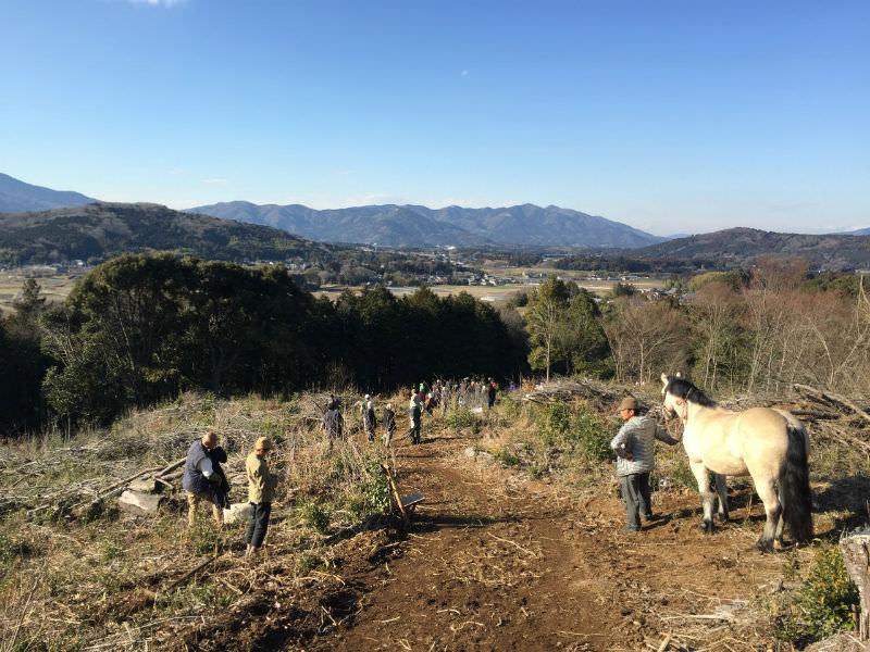 映画『いつまた、君と～何日君再来～』06