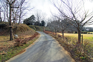 木原城址城山公園