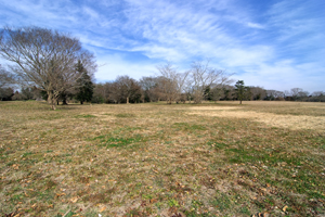 陸平貝塚公園