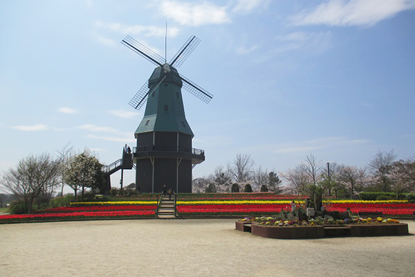 霞ヶ浦総合公園