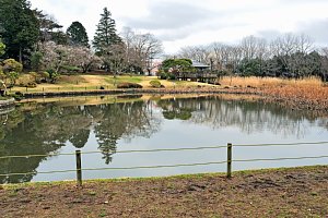 八坂公園