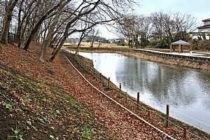 八坂水生公園