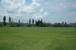 和田公園