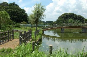 三次親水公園