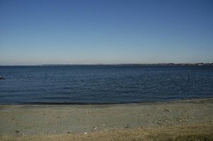 霞ヶ浦(和田公園周辺)