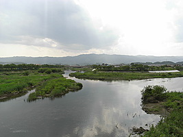 大北川中州