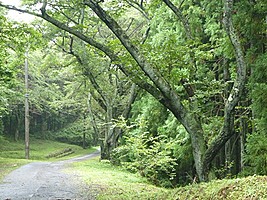 十国峠