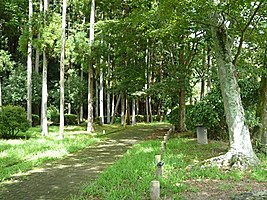 春友ふれあい公園散策道