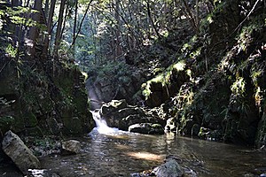 河鹿沢の雌滝