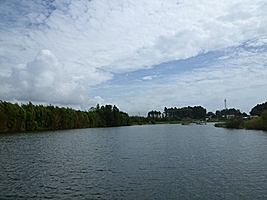久慈川栗原釣場