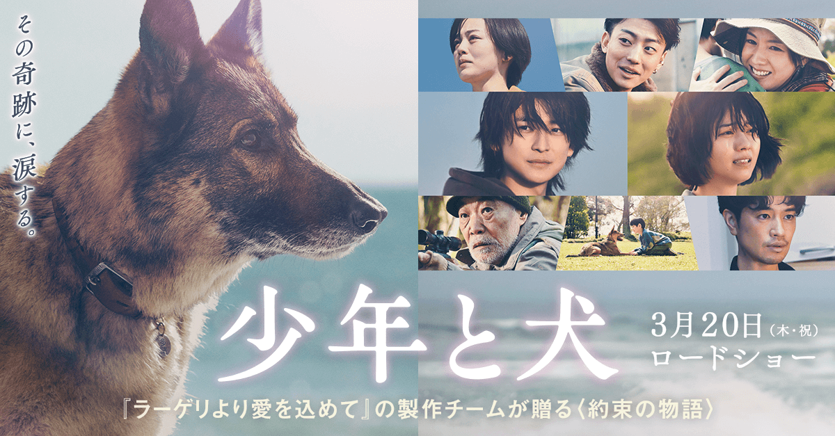 01_少年と犬