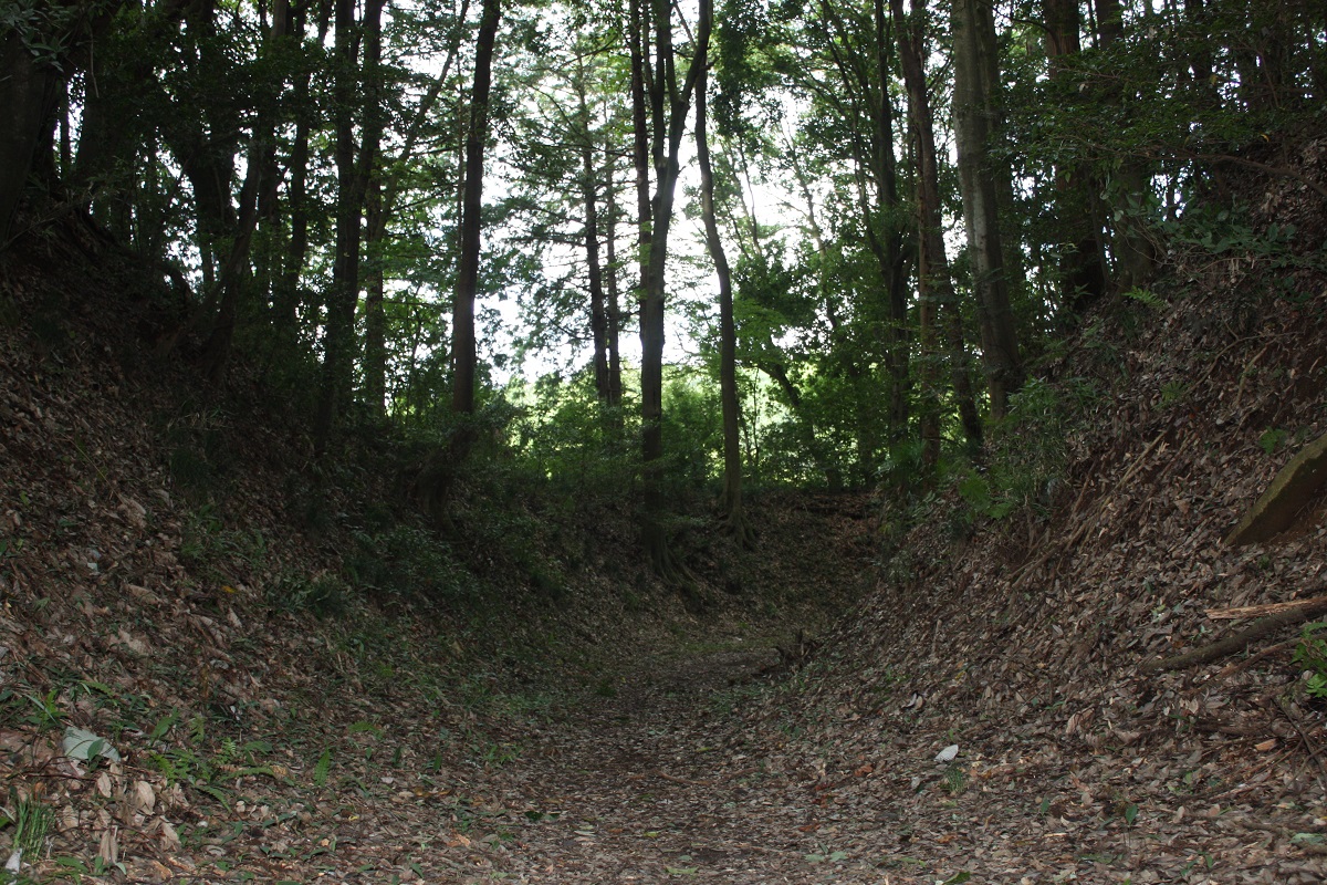 小幡城跡