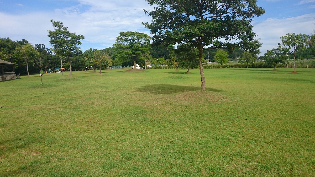 涸沼(ひぬま)自然公園
