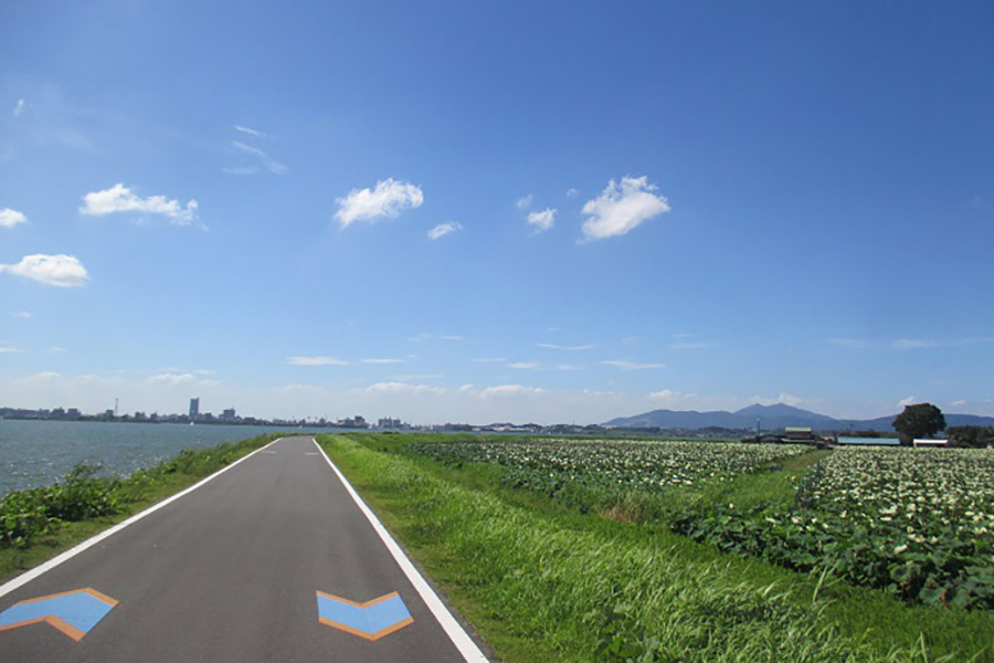 つくば霞ヶ浦りんりんロード