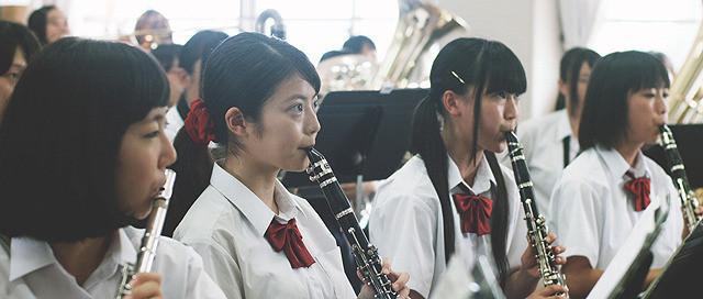 カランコエの花02