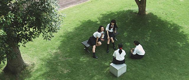 カランコエの花03