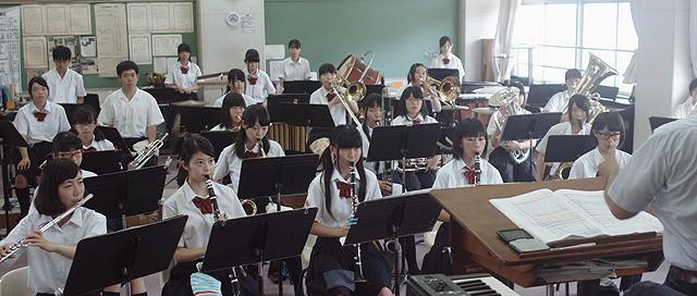 カランコエの花06