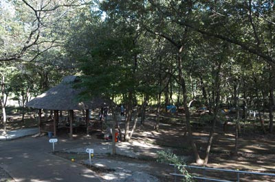牛久市総合福祉センター・ふくしの森