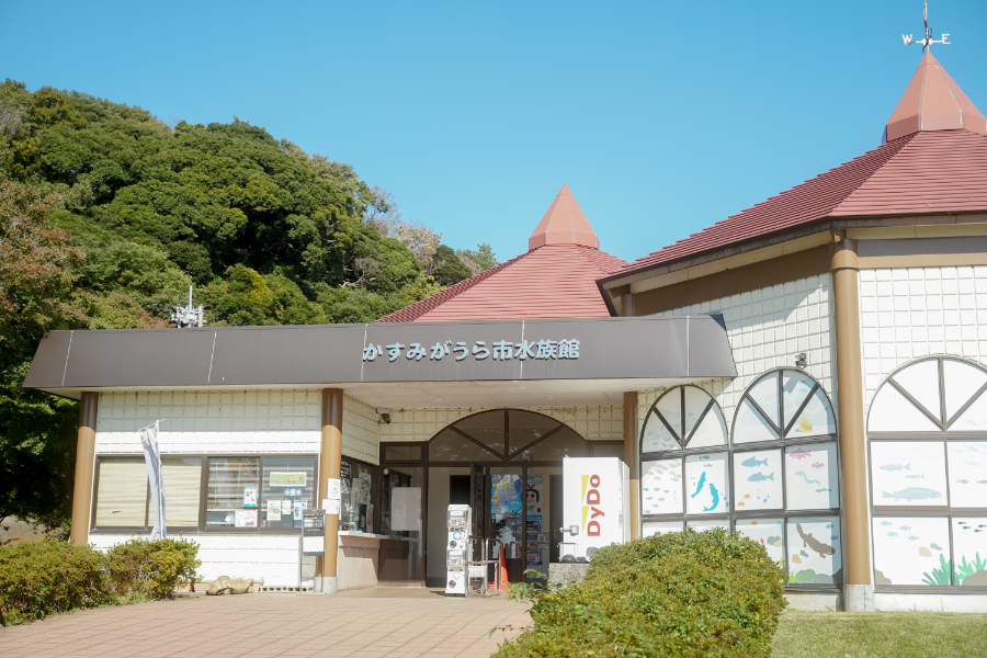 かすみがうら市水族館