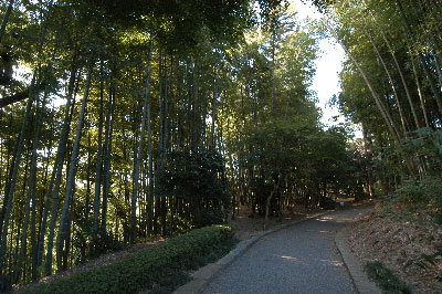 小川芋銭記念館雲魚亭