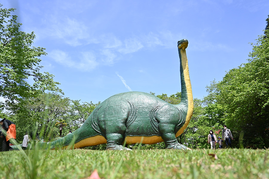 水戸市森林公園