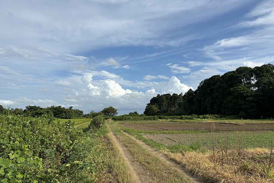 戸茂地区