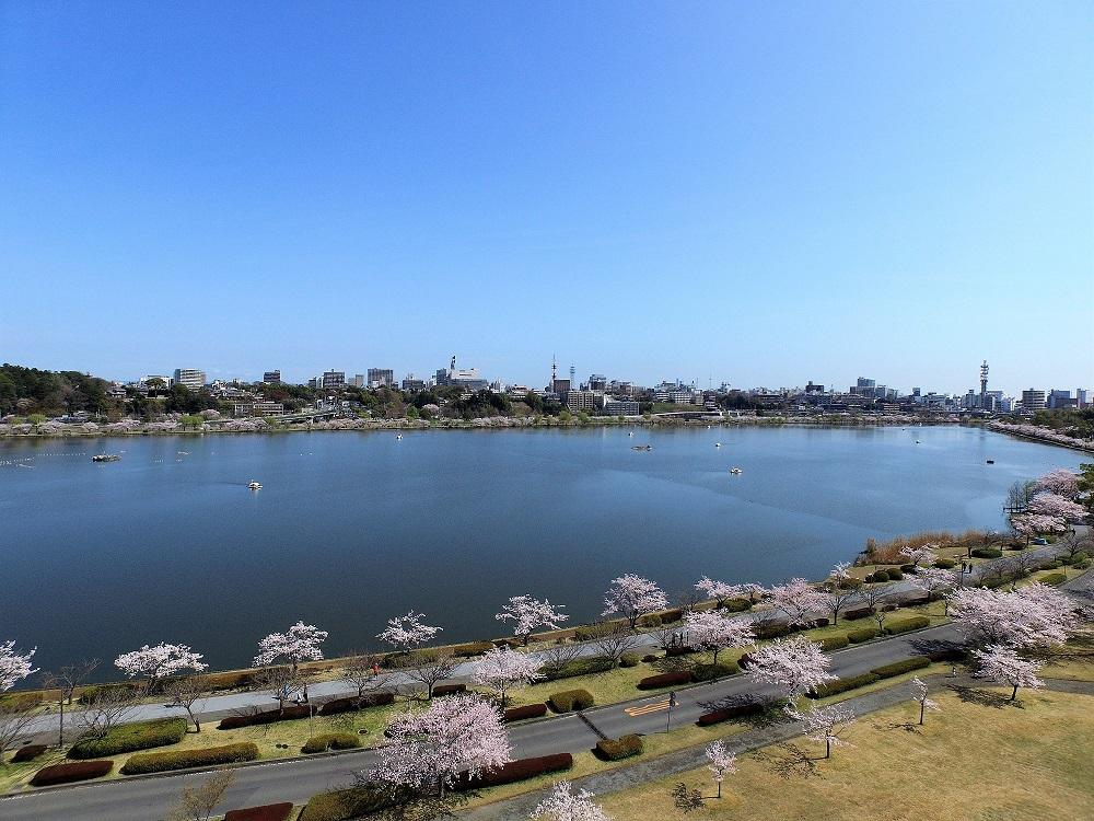 千波公園 千波湖