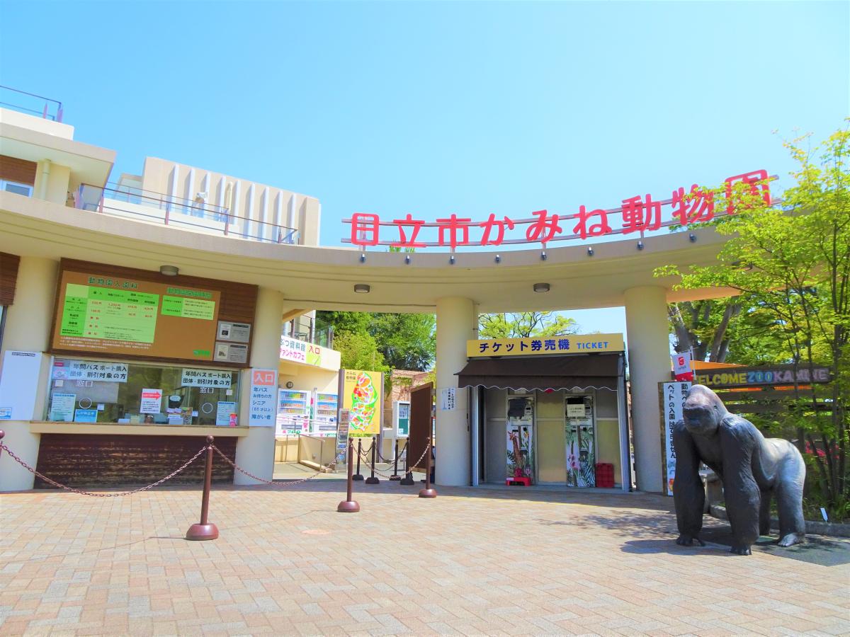かみね動物園