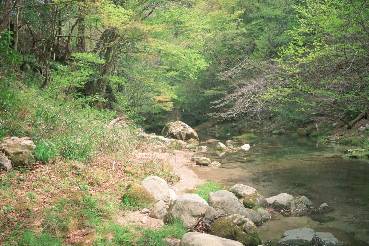 花貫渓谷 名馬里ヶ淵４