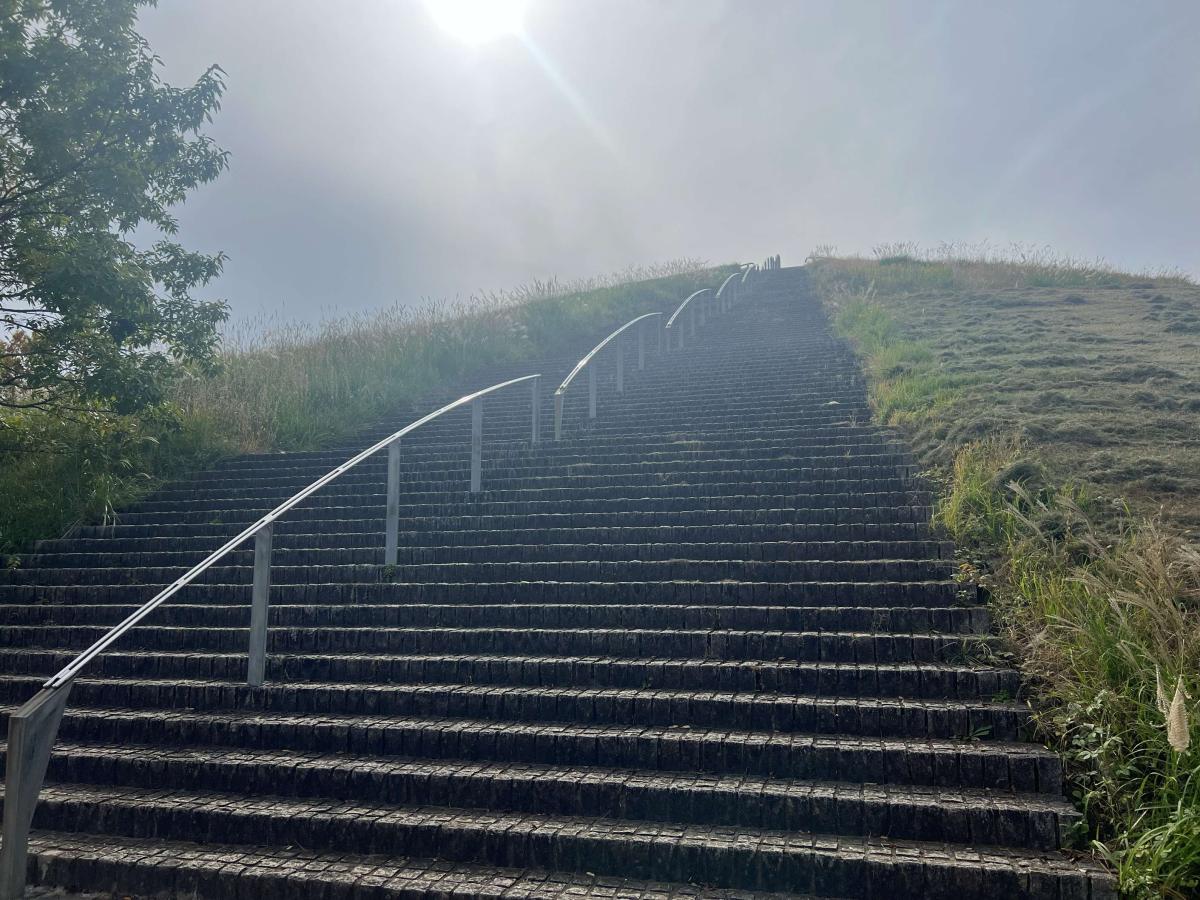 龍ケ岡公園（たつのこやま）
