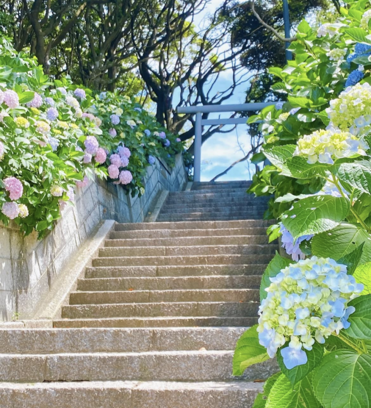 酒列磯前神社２