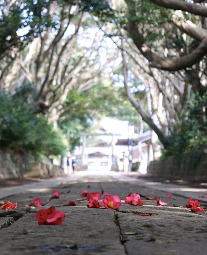 酒列磯前神社４