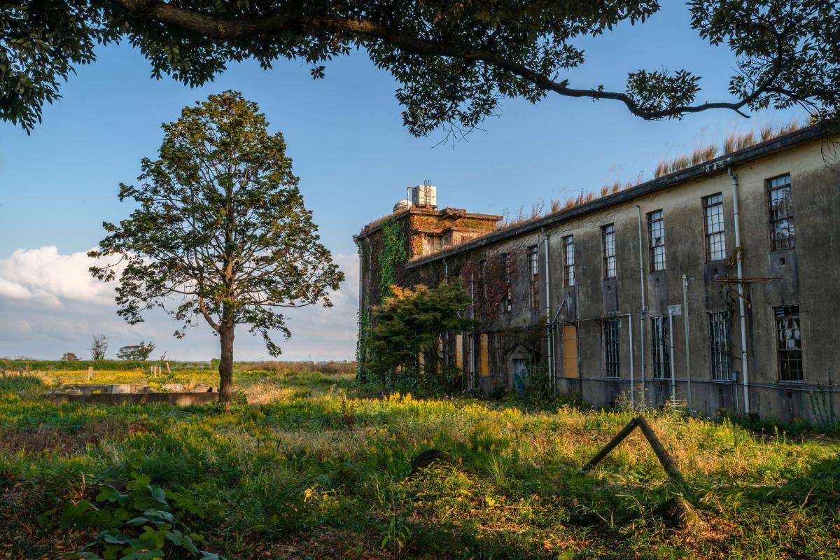 美浦村大山湖畔公園(鹿島海軍航空隊跡)
